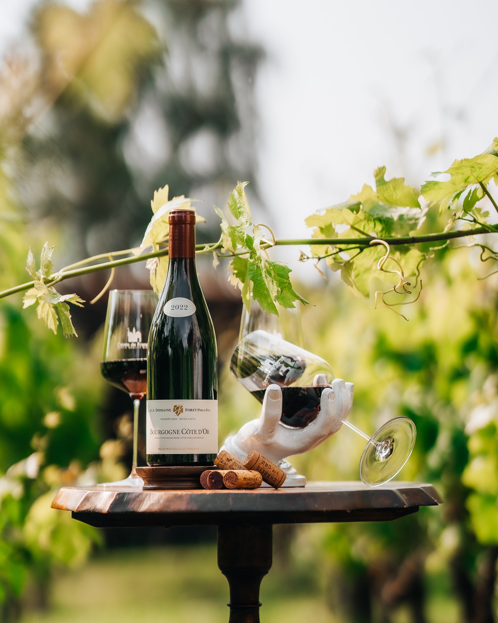 Oogst 2024 – Een jaar dat je niet zomaar vergeet