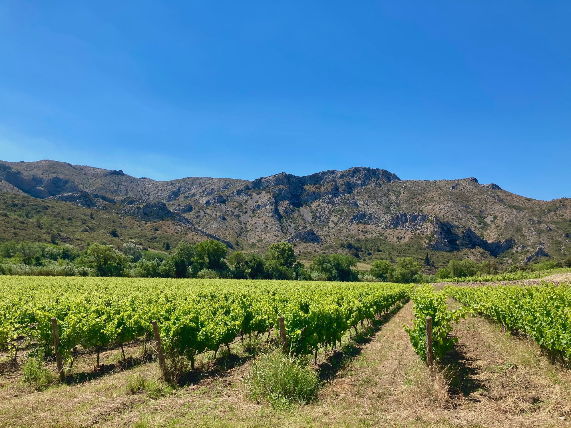 Rousillion als kwaliteitsregio