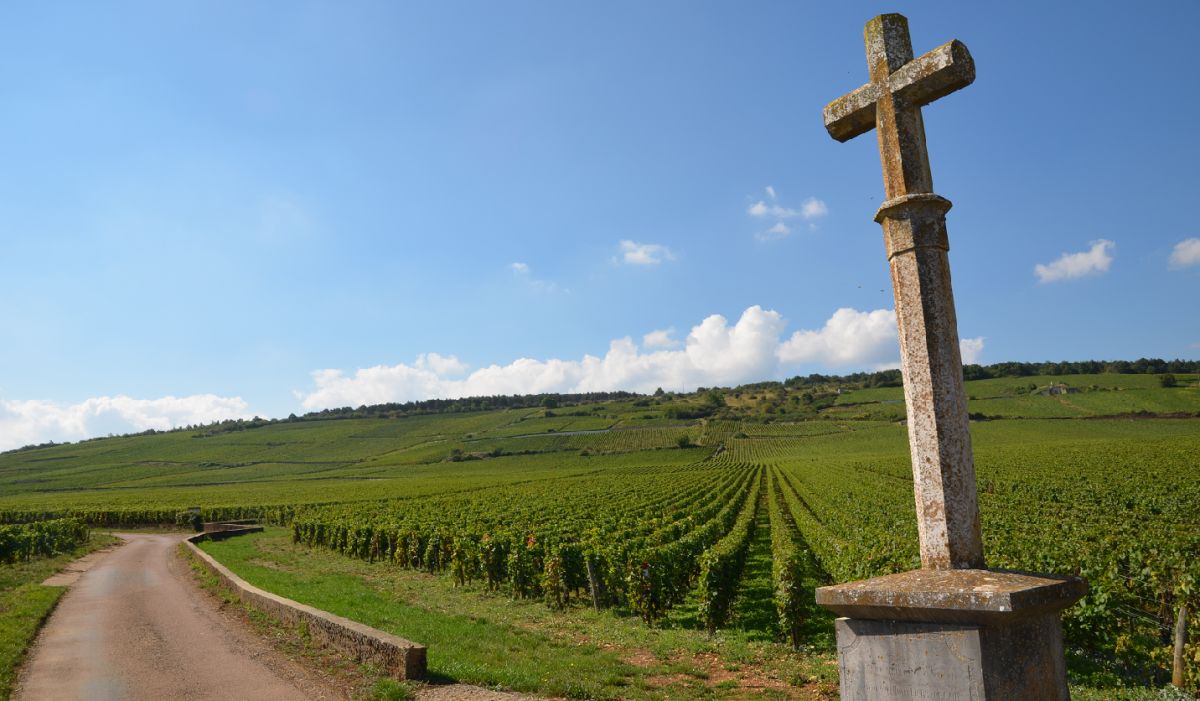 Buren van Romanée-Conti "La Tâche"