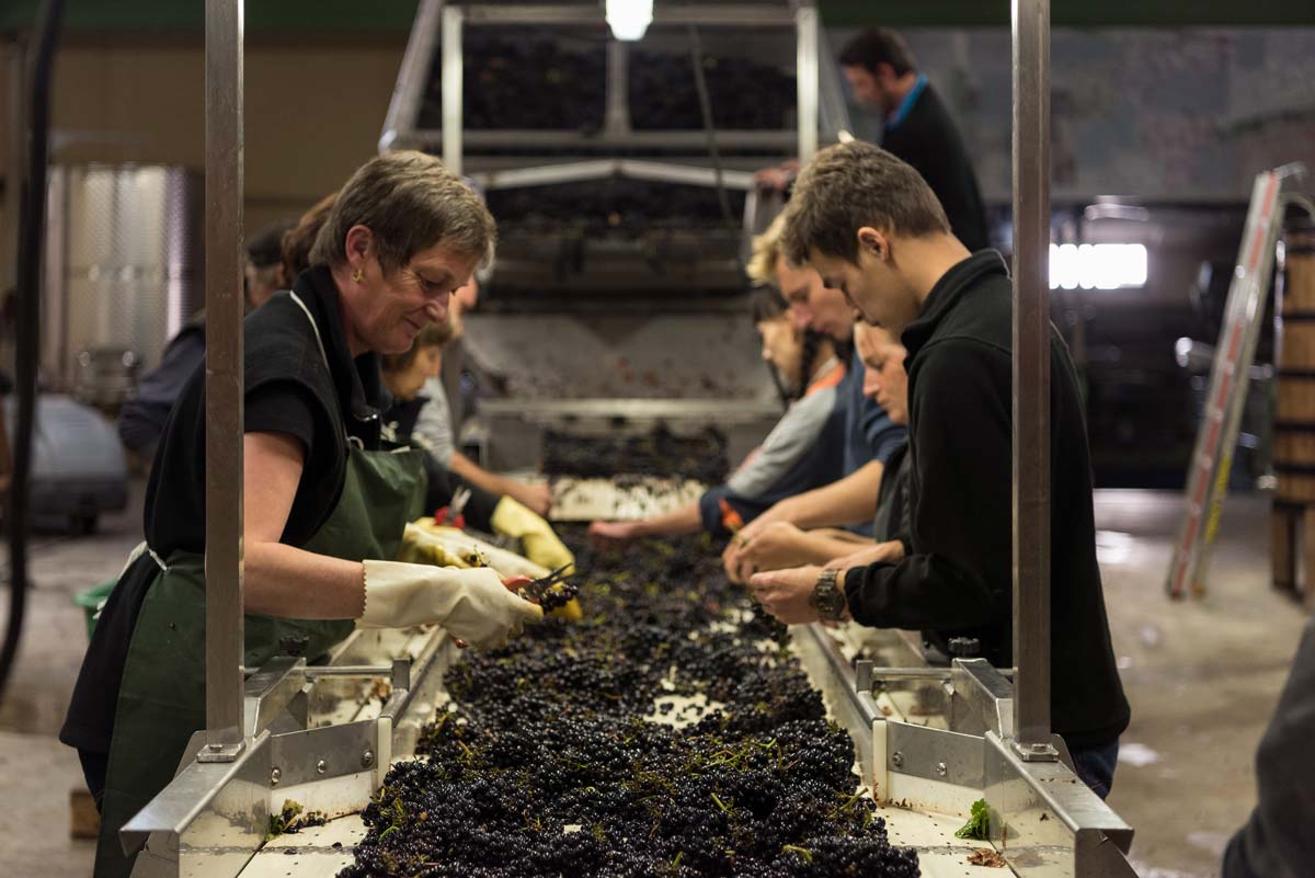 Domaine Simon Bize et Fils